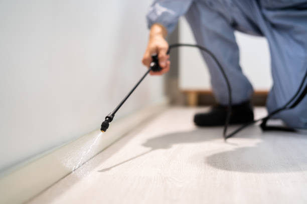Licensed Cockroach Control service in Pine Manor, FL - Nex Pest Control