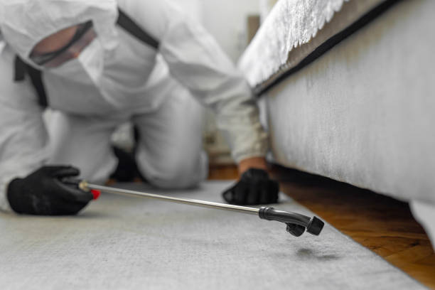 Professional Cockroach Control technician working in Pine Manor, FL