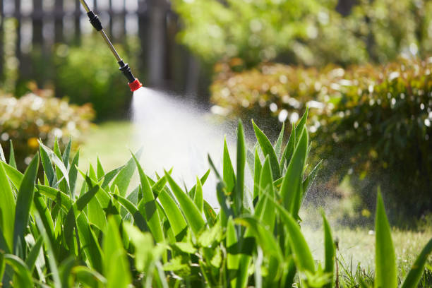 24/7 Emergency Cockroach Control experts in Pine Manor, FL