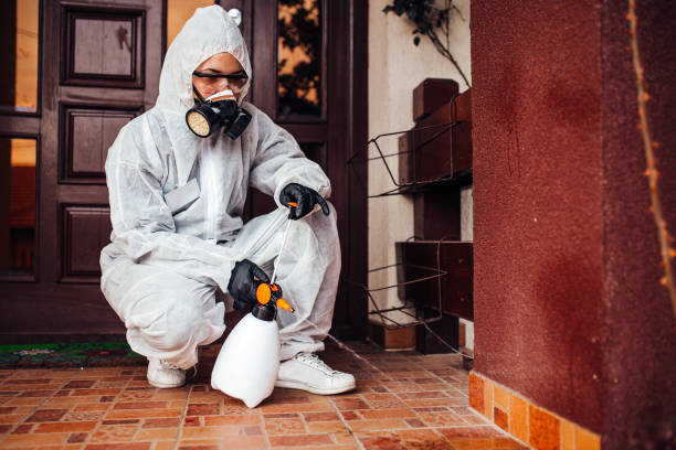 Reliable Cockroach Control contractor in Pine Manor, FL by Nex Pest Control